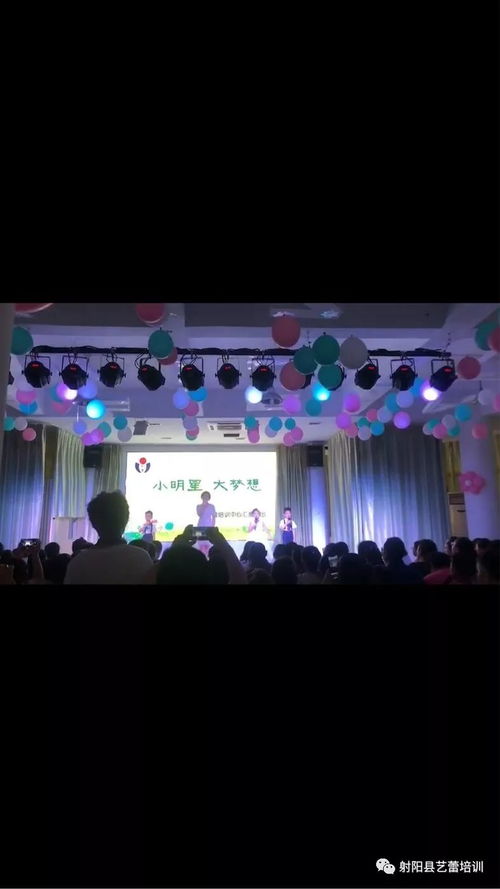 魅力藝?yán)?小明星,大夢(mèng)想 教學(xué)成果展