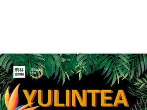 雨林金色設(shè)計(jì)圖片與舞今信息食品包裝模板下載